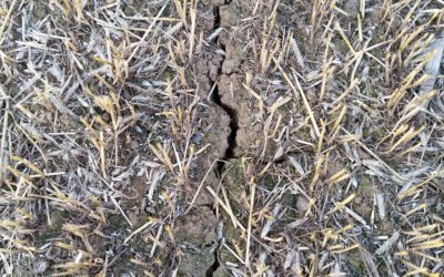 Quand la nature fait le travail