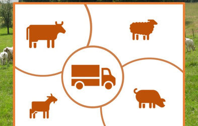 Présentation du projet d’abattoir mobile en Belgique – vendredi 6/09/2019 à Namur