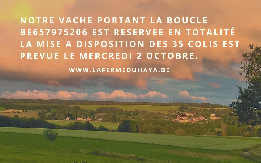 Mise à disposition des prochains colis de viande de vache