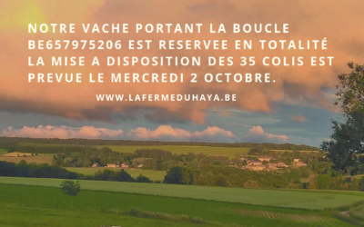 Mise à disposition des prochains colis de viande de vache