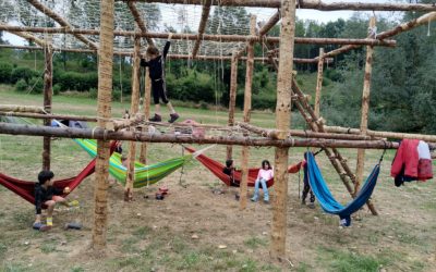 Bienvenu à la Ferme du Haya cet été pour…