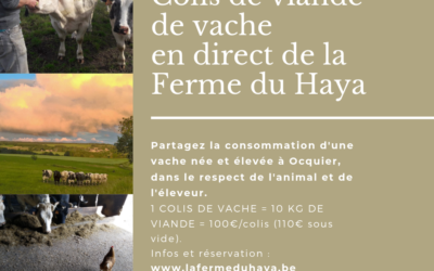 Colis de viande de vache en cours de vente