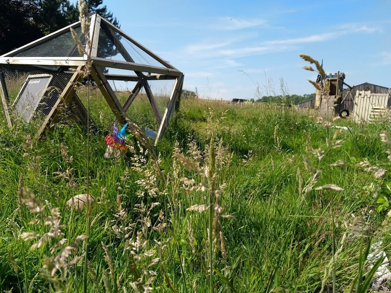 Yoga estival 1 dimanche sur 2 à la ferme