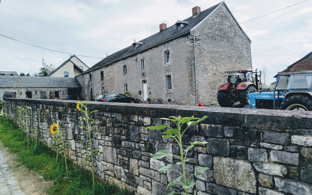 Mise à disposition des colis de viande de vache le 04/12/2019