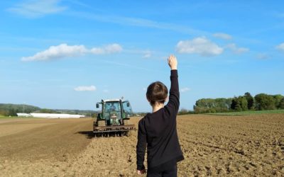 Semis d&rsquo;orge d&rsquo;hiver