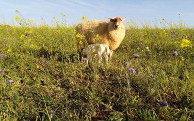 Histoire d&rsquo;une terre