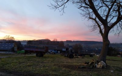 100% du lot de colis du 27 décembre réservé