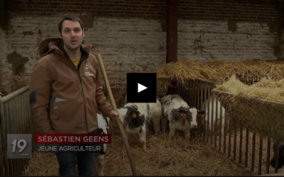 Les dindons de la farce