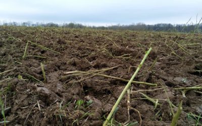 Première nuit 2020 à la ferme