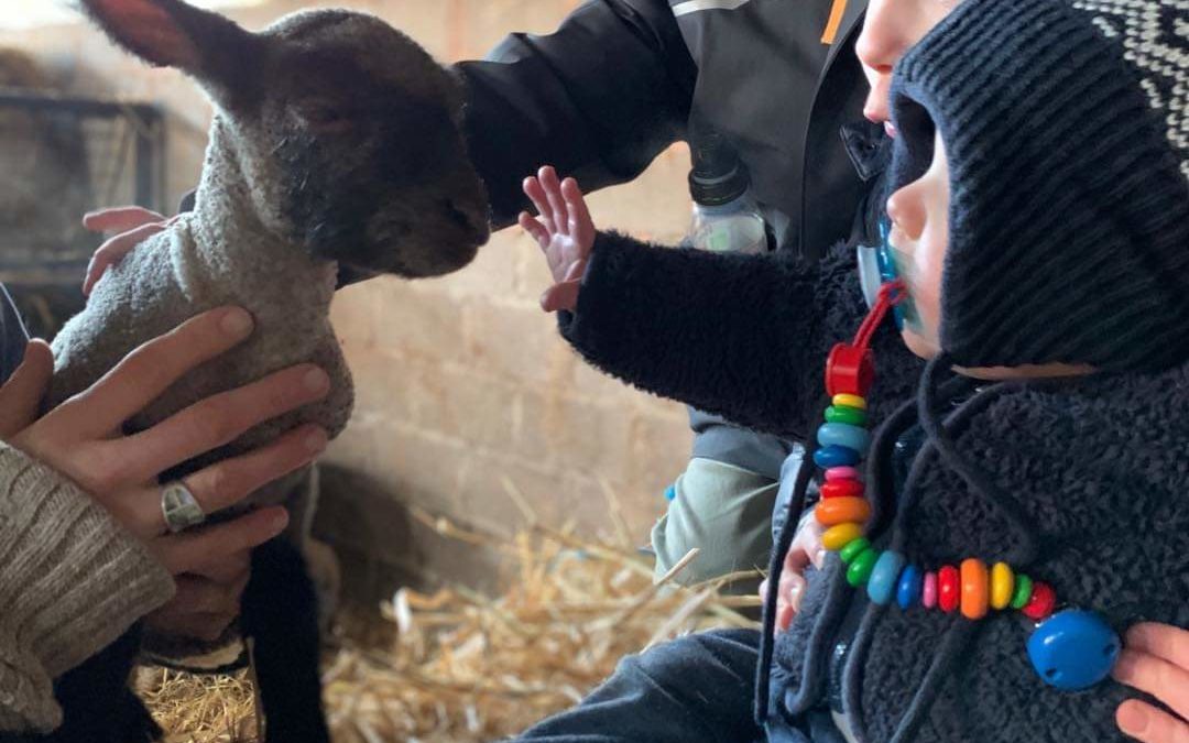 Visitez notre ferme en famille le dimanche matin