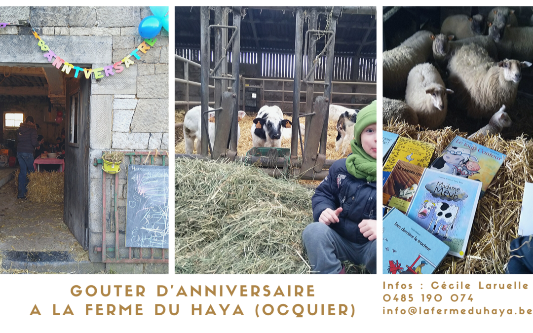 Goûter d’anniversaire à la ferme