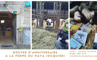 Goûter d&rsquo;anniversaire à la ferme
