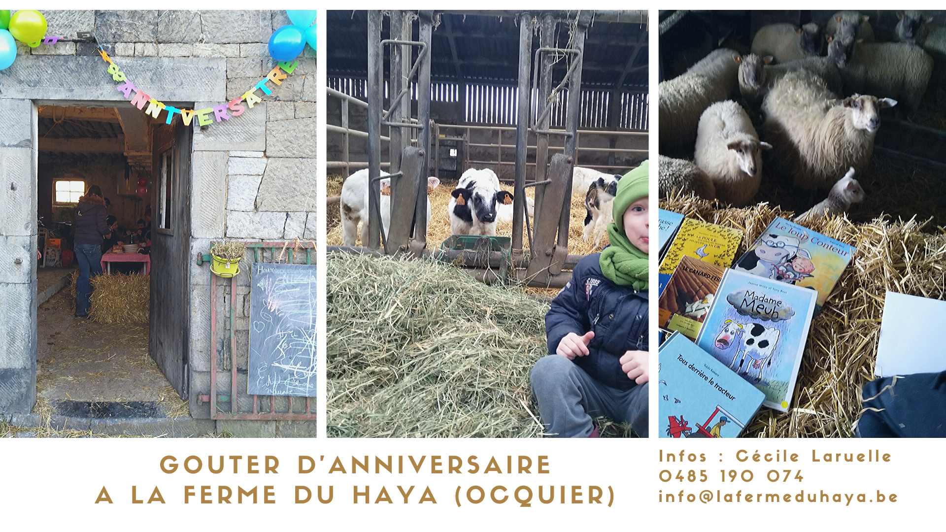 Gouter D Anniversaire A La Ferme La Ferme Du Haya