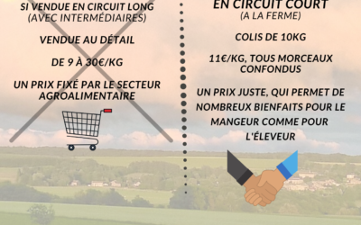 Circuit long et circuit court