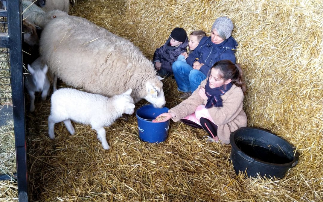 Nous sommes tous des enfants de la ferme !