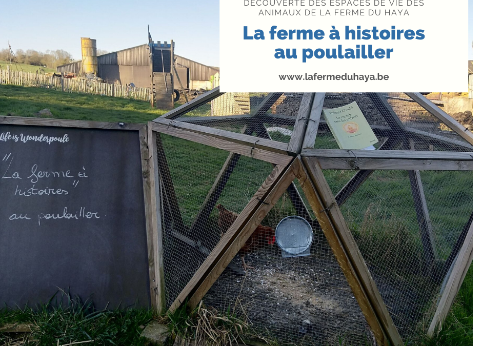 La ferme à histoires au poulailler : « Le monde sans les enfants »