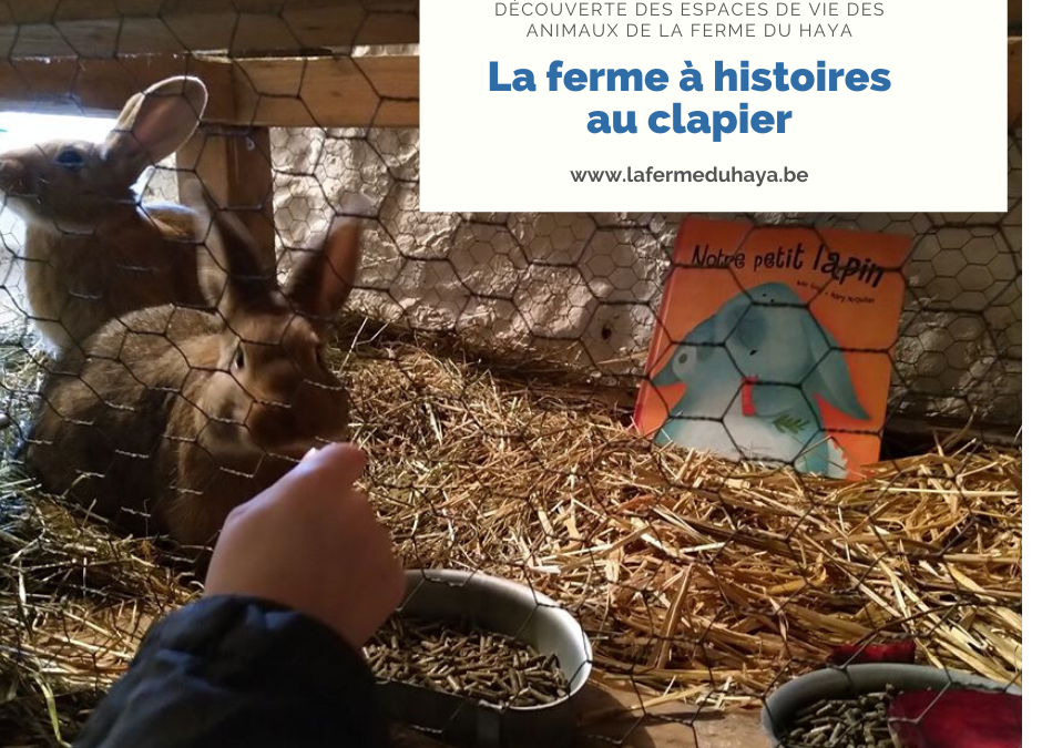 La ferme à histoires au clapier : lecture de « Notre petit lapin »