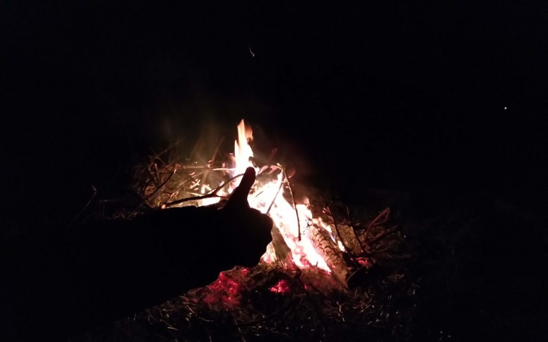 Les colis de vache de mars, ça c’est fait…c’est parti pour les colis d’avril – MERCI