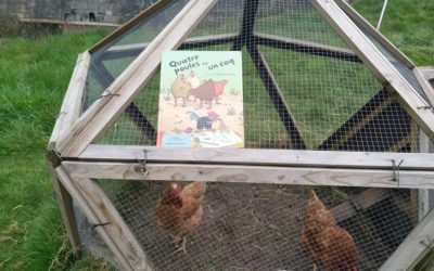 Présentation du poulailler de Poulette et Scarlette