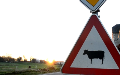 Agir ensemble en circuit court