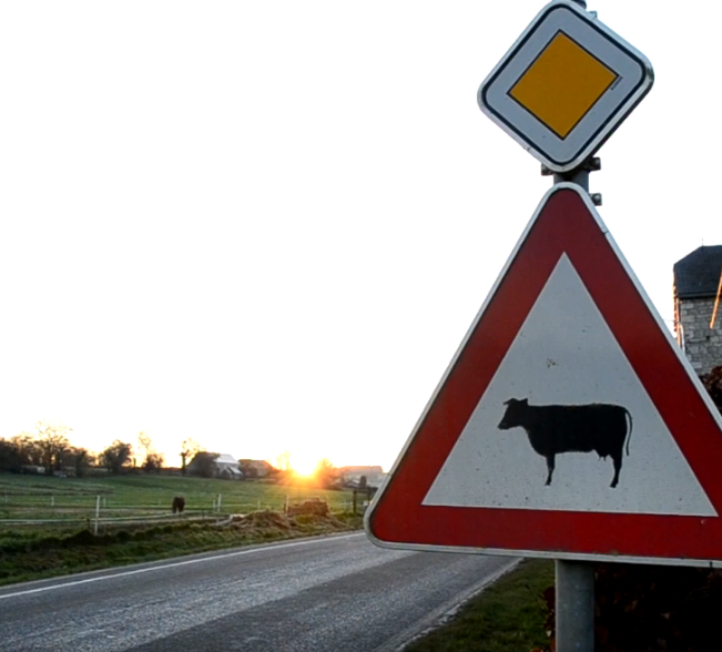 Vidéo de présentation de nos colis de viande