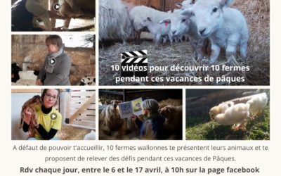 10 fermes à découvrir pendant les vacances de Pâques pour vos enfants