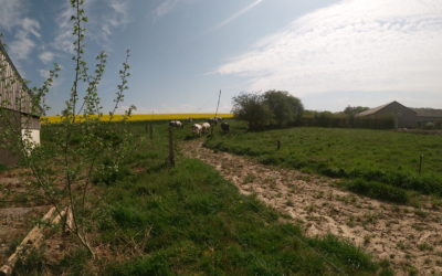 Vos retours nous nourrissent d&rsquo;énergie. MERCI !