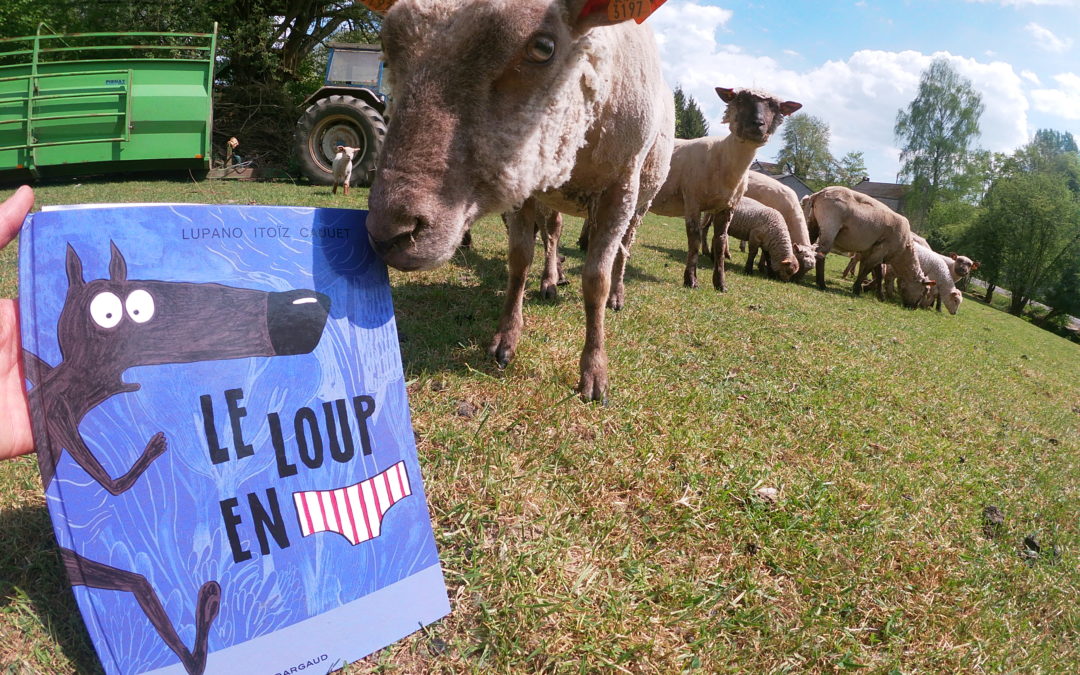 La ferme à histoires est en prairie avec les moutons et « Le loup en slip »