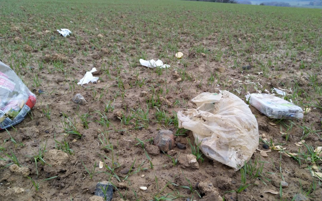 Coup de gueule : les déchets clandestins