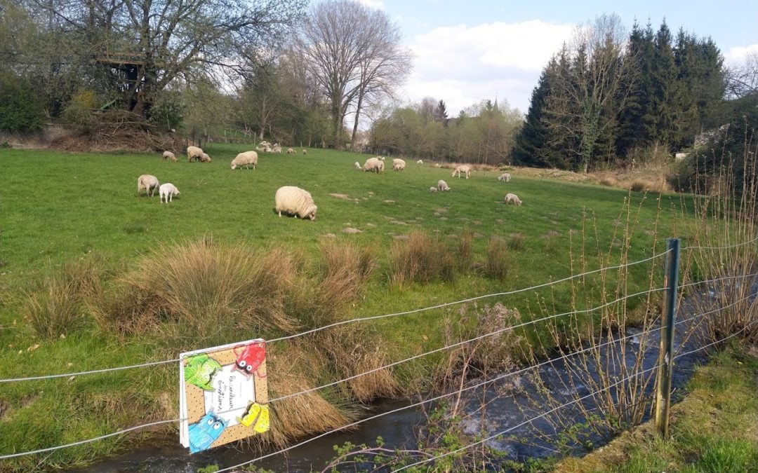 La ferme à histoires est en prairie, avec les moutons