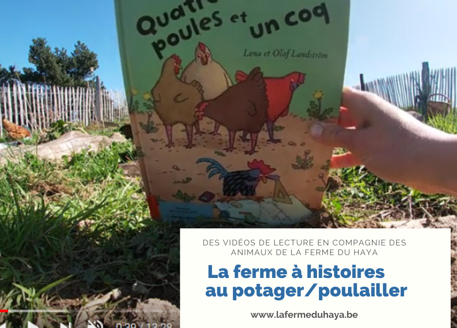 La Ferme A Histoires Est Au Potager Poulailler La Ferme Du Haya