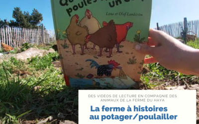 La ferme à histoires est au potager//poulailler
