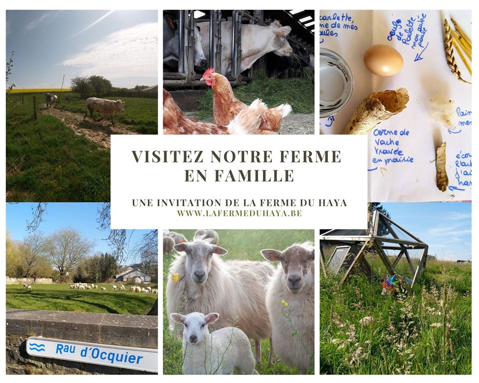 Visitez notre ferme en famille