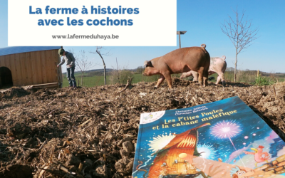 La ferme à histoires est avec les cochons et « Les p’tites poules »