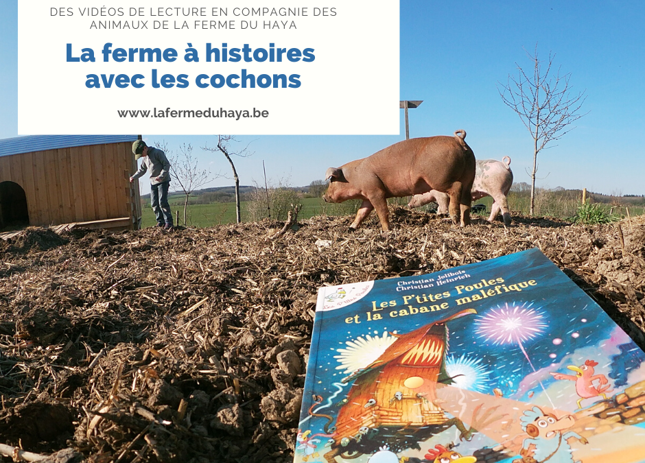 La ferme à histoires est avec les cochons et « Les p’tites poules »