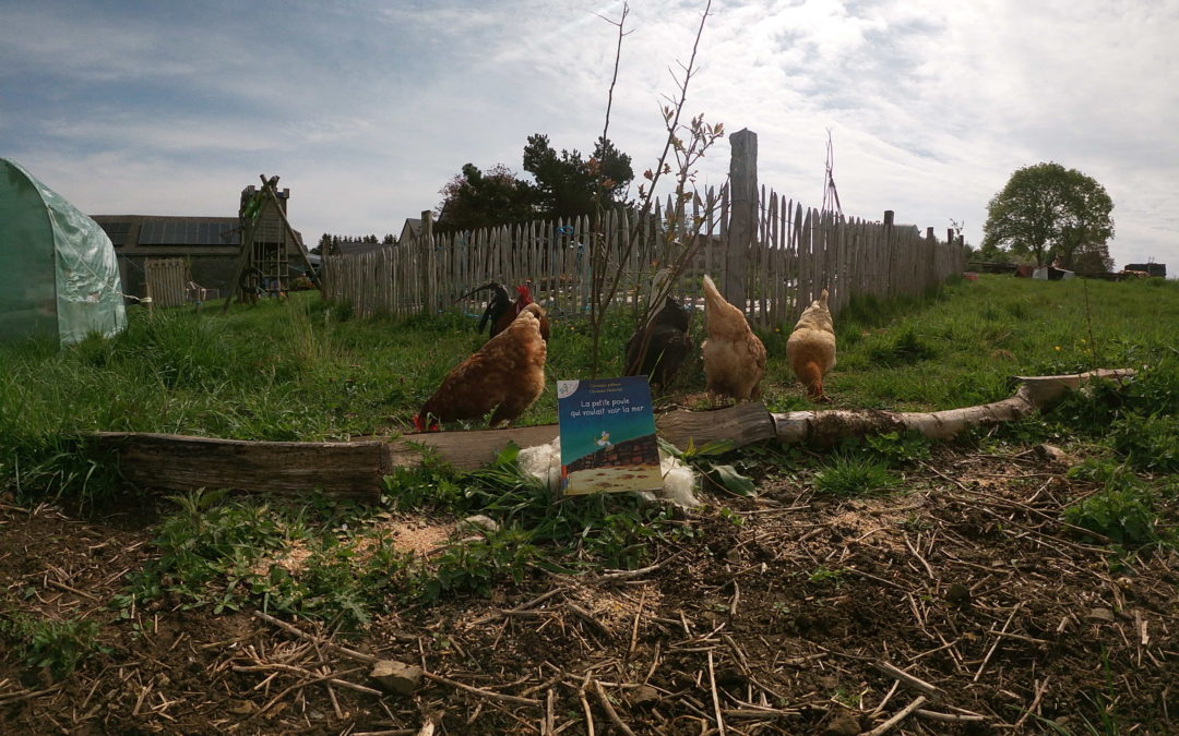 La ferme à histoire est au jardin//prairie avec « la p’tite poule qui voulait voir la mer »