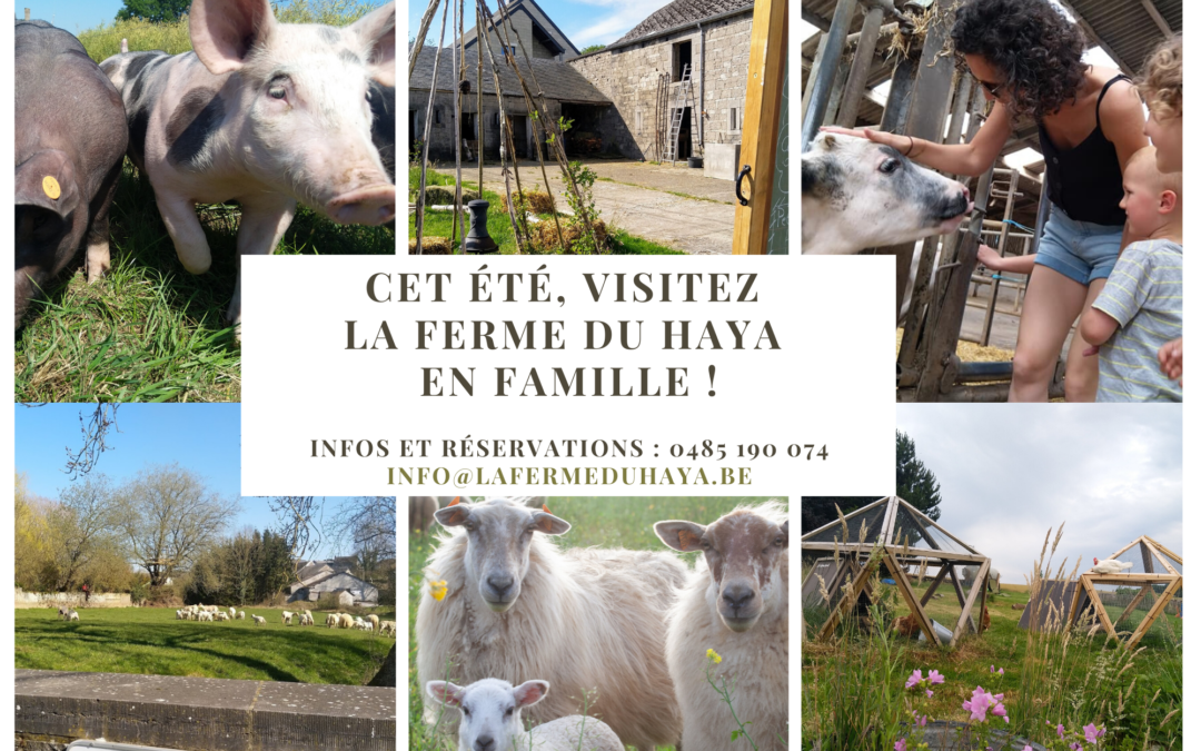 Réservez une visite guidée de notre ferme lors de la remise de votre colis