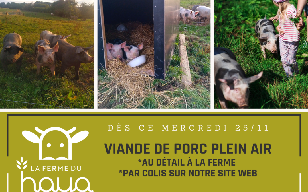 Jour J : viande de porc plein air