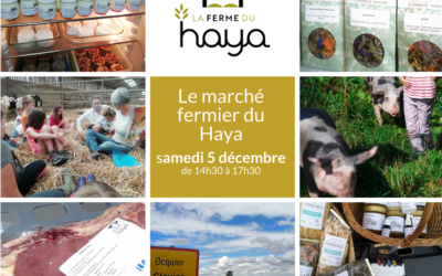Marche fermier du Haya le 5 décembre