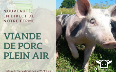 Nouveauté : viande de porc plein air