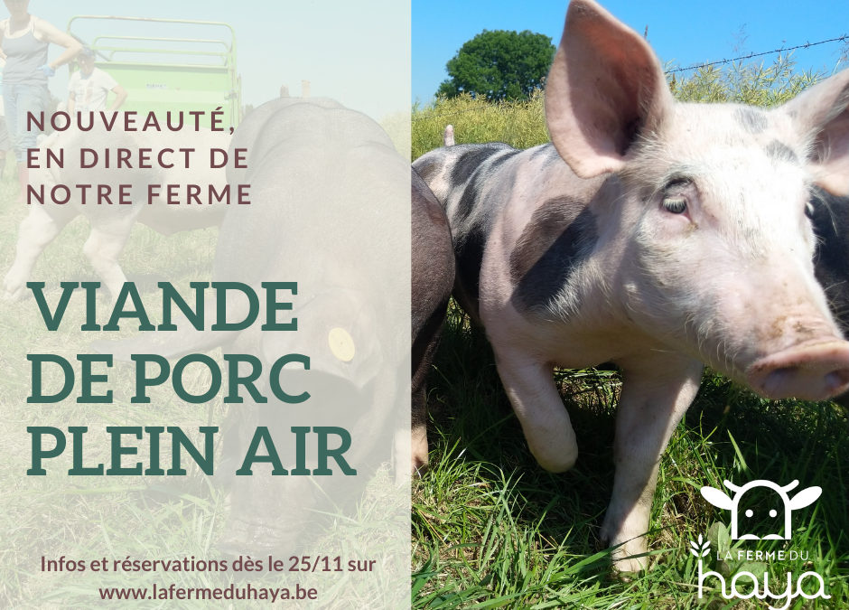 Nouveauté : viande de porc plein air