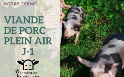 J-1 : viande de porc au détail