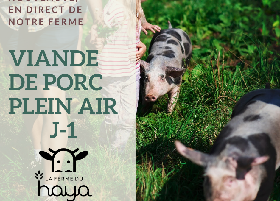 J-1 : viande de porc au détail