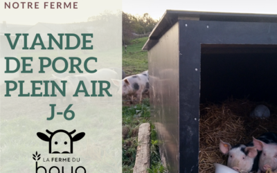 J-6 : viande de porc plein air