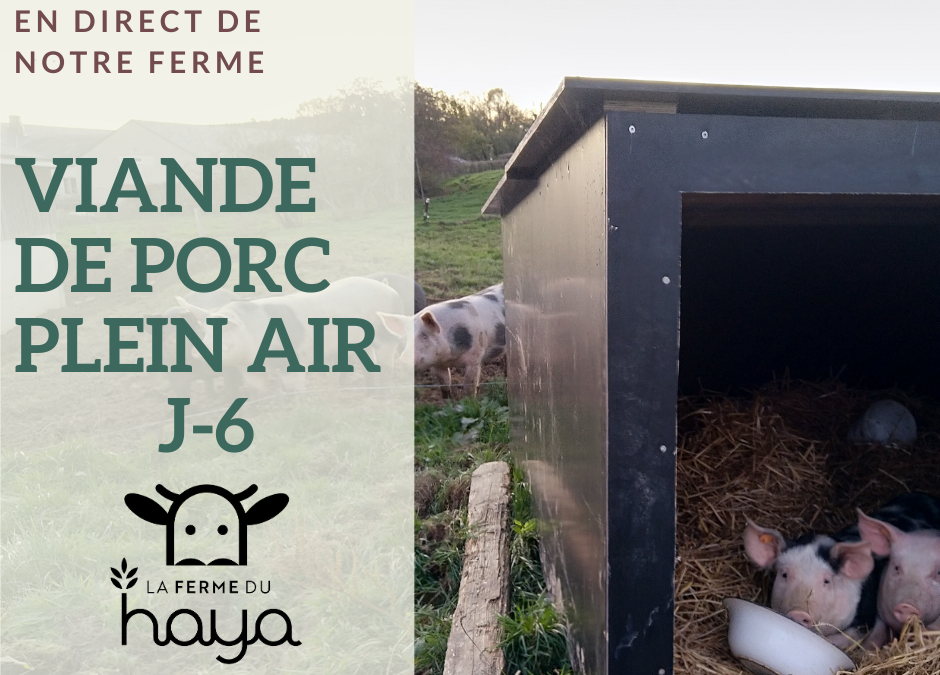 J-6 : viande de porc plein air