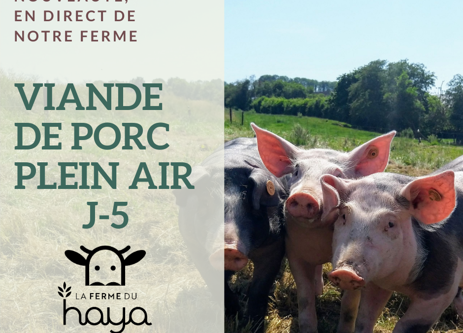 J-5 : viande de porc plein air