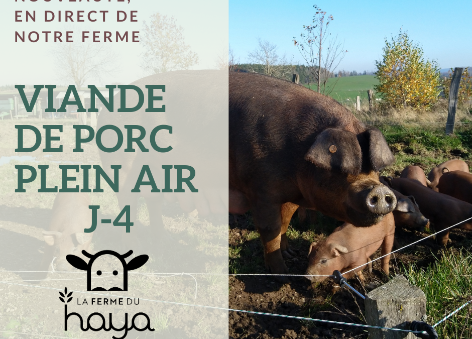 J-4 : viande de porc plein air