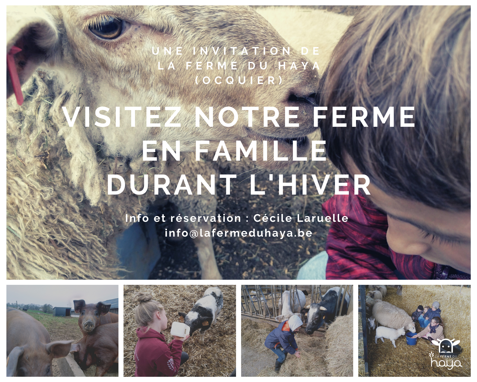 visite ferme en famille en hiver