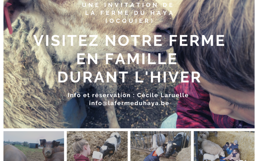 Venez découvrir notre ferme