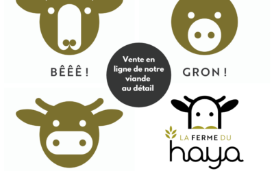 On se met à la vente au détail en ligne !